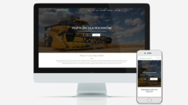 strona-www-dla-firmy-udzielajacej-pozyczek